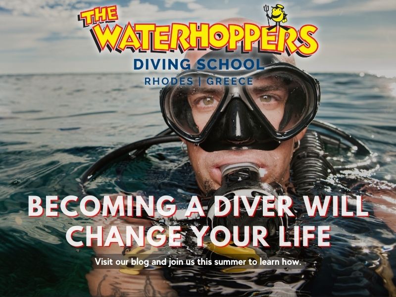 Becoming A Diver Will Change Your Life